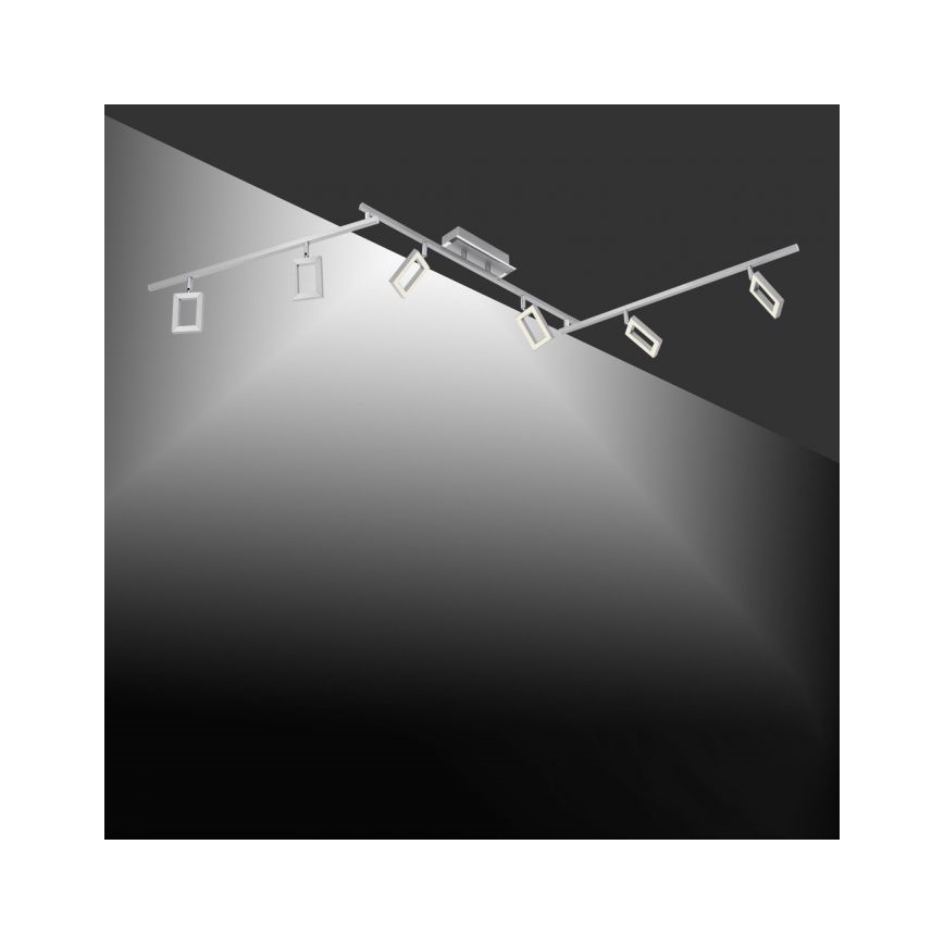 Paul Neuhaus 6965-55 - Spot LED à intensité variable INIGO 6xLED/4W/230V