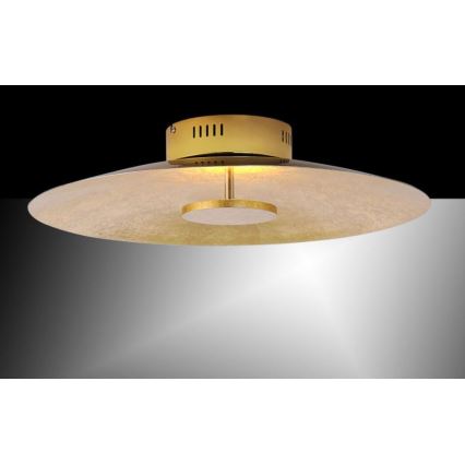 Paul Neuhaus 8132-12 - Plafonnier LED à intensité variable PLATE LED/25W/230V