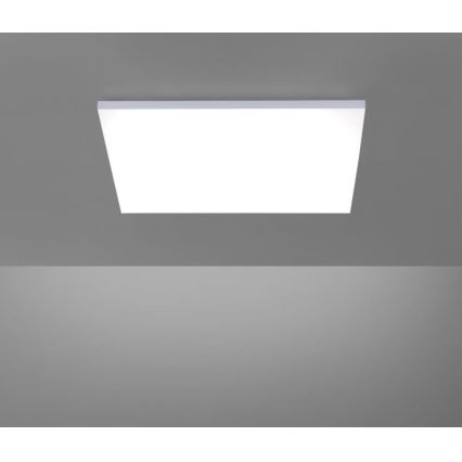 Paul Neuhaus 8492-16 - Panneau monté en surface LED à intensité variable FRAMELESS LED/35W/230V + télécommande