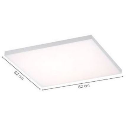 Paul Neuhaus 8492-16 - Panneau monté en surface LED à intensité variable FRAMELESS LED/35W/230V + télécommande