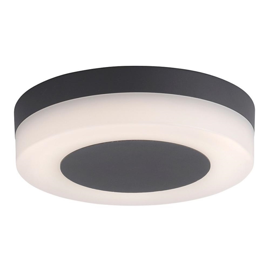 Paul Neuhaus 9490-13 - Luminaire d'extérieur FABIAN LED/12,6W/230V IP54