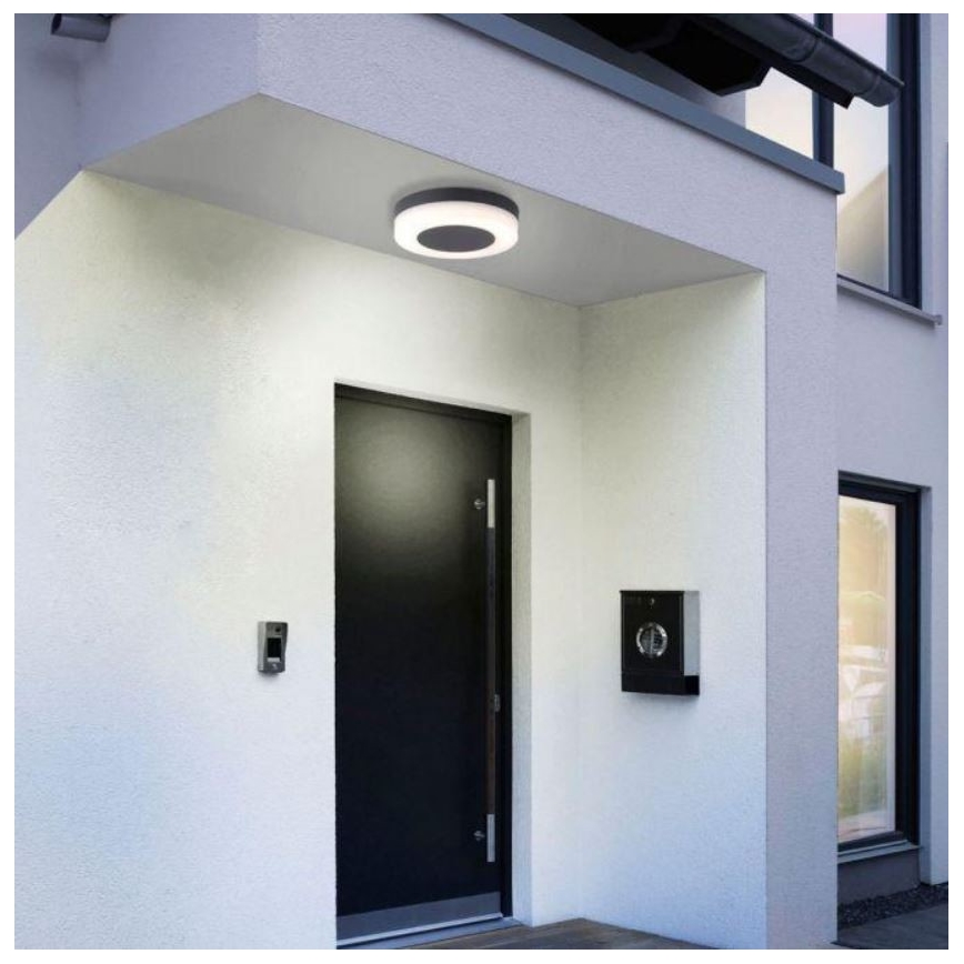 Paul Neuhaus 9490-13 - Luminaire d'extérieur FABIAN LED/12,6W/230V IP54