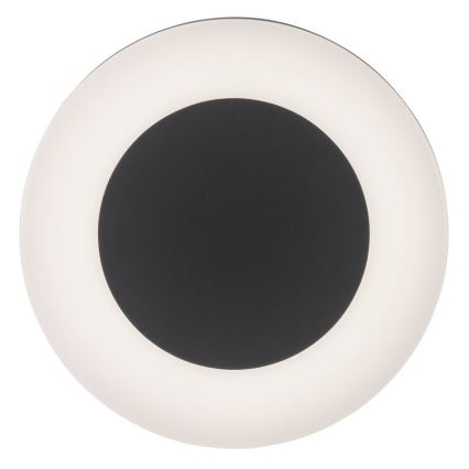 Paul Neuhaus 9490-13 - Luminaire d'extérieur FABIAN LED/12,6W/230V IP54