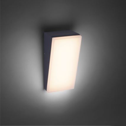 Paul Neuhaus 9495-13 - Applique murale d'extérieur GWEN LED/9W/230V IP65