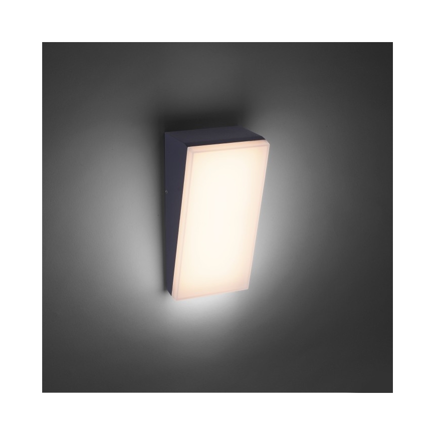 Paul Neuhaus 9495-13 - Applique murale d'extérieur GWEN LED/9W/230V IP65