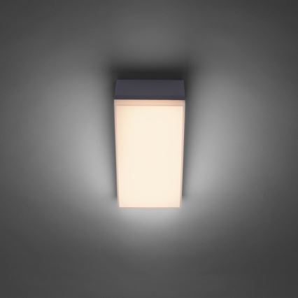 Paul Neuhaus 9495-13 - Applique murale d'extérieur GWEN LED/9W/230V IP65