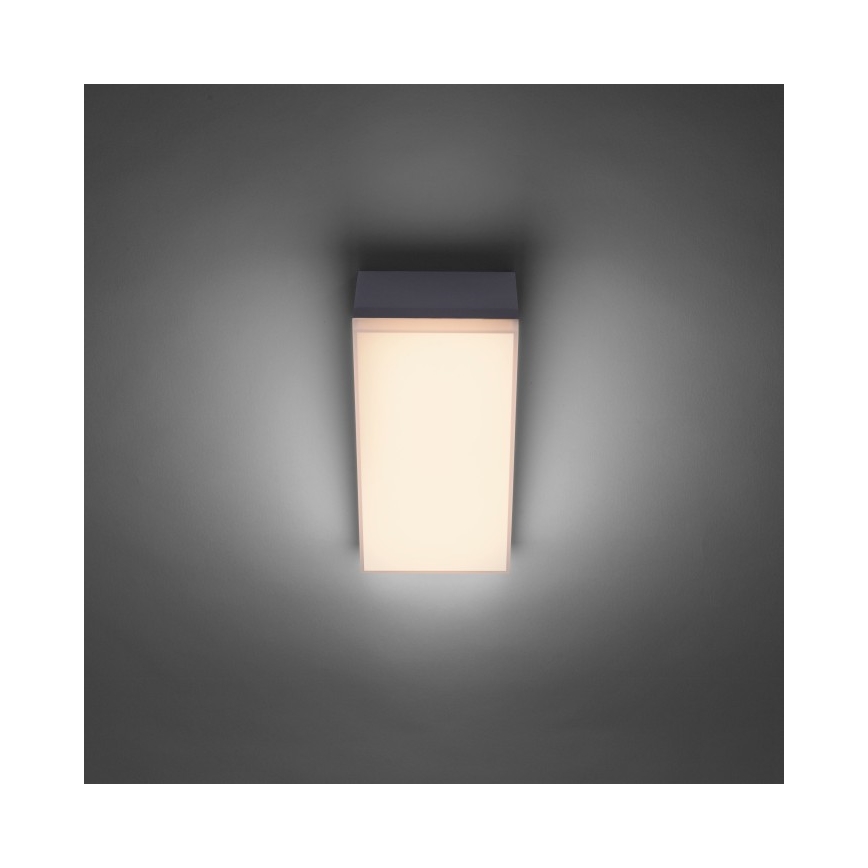 Paul Neuhaus 9495-13 - Applique murale d'extérieur GWEN LED/9W/230V IP65