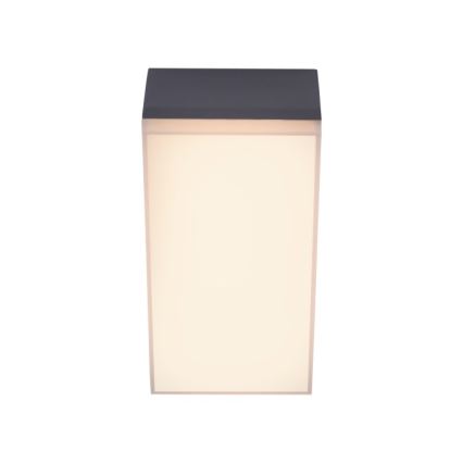 Paul Neuhaus 9495-13 - Applique murale d'extérieur GWEN LED/9W/230V IP65