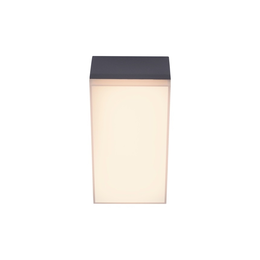 Paul Neuhaus 9495-13 - Applique murale d'extérieur GWEN LED/9W/230V IP65