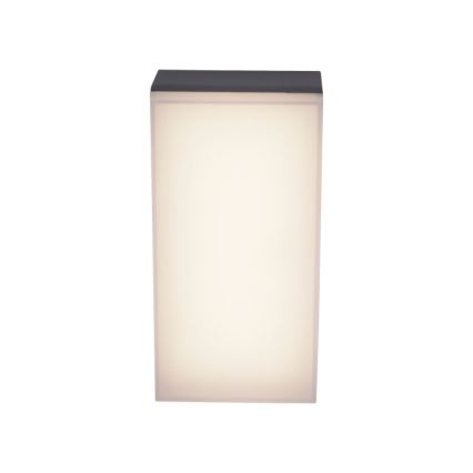 Paul Neuhaus 9495-13 - Applique murale d'extérieur GWEN LED/9W/230V IP65