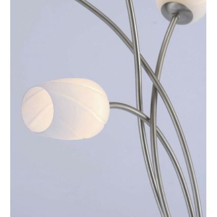 Paul Neuhaus 9549-55 - Lampe murale LED ANASTASIA 2xLED/3W/230V