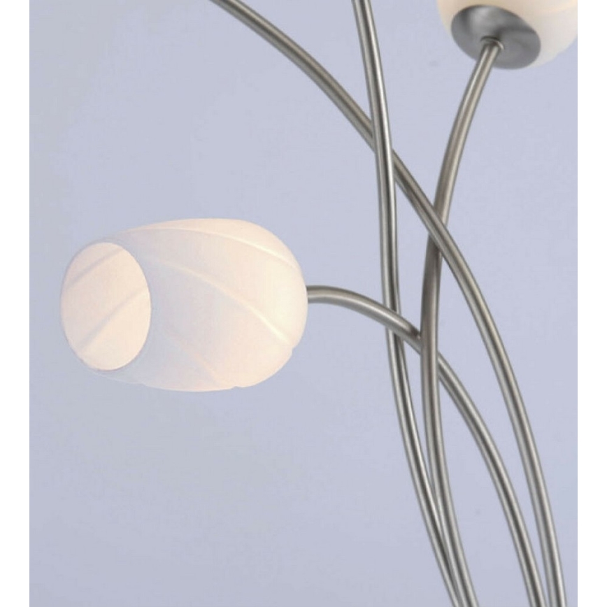 Paul Neuhaus 9549-55 - Lampe murale LED ANASTASIA 2xLED/3W/230V