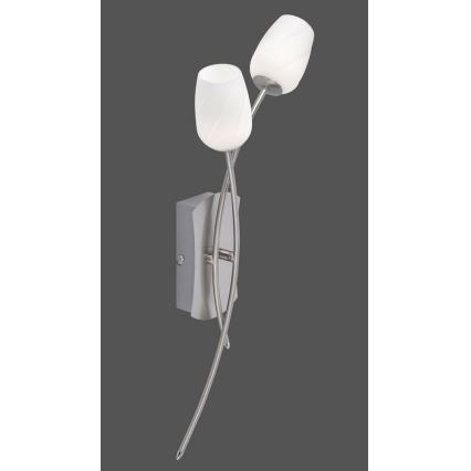 Paul Neuhaus 9549-55 - Lampe murale LED ANASTASIA 2xLED/3W/230V