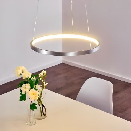 Paul Neuhaus - Suspension filaire à intensité variable CIRCLE LED/23W/230V d. 39 cm