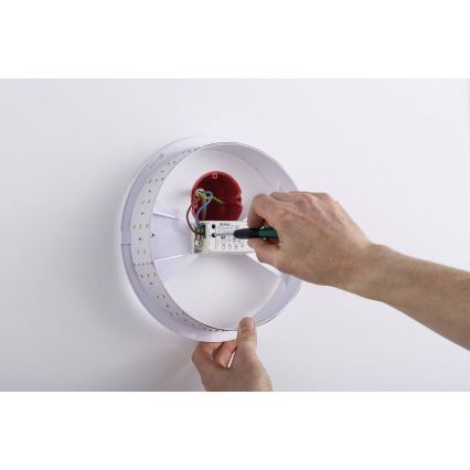 Paulmann 70720 - LED/3,5W Applique DECOBEAM 230V