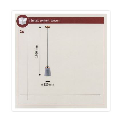 Paulmann 79617 - 1xE27/20W Suspension filaire NEORDIC STIG 230V