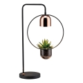 Paulmann 79746 - Lampe de table FANJA 1x GU10/20W, 230V, verre fumé