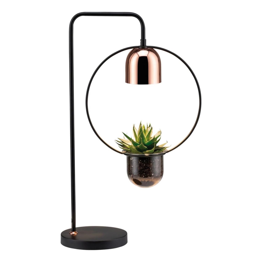 Paulmann 79746 - Lampe de table FANJA 1x GU10/20W, 230V, verre fumé