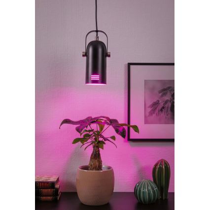 Paulmann 79766 - Suspension LED RGBW 1xE27/9W LAVEA sur câble 230V noir