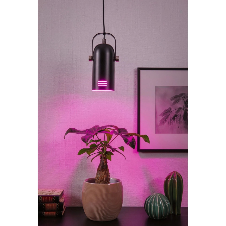 Paulmann 79766 - Suspension LED RGBW 1xE27/9W LAVEA sur câble 230V noir