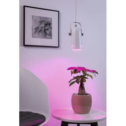 Paulmann 79767 - Suspension LAVEA LED RGBW 1xE27/12W sur câble 230 V blanche