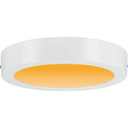 Paulmann 79795 - Plafonnier LED/13W CARPO 230V 2300/2500/3000K