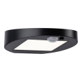 Paulmann 94246 - LED/1,2W IP44 Éclairage solaire extérieur avec détecteur RYSE 3,7V 1800 mAh