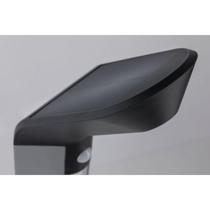 Paulmann 94252 - Lampe solaire extérieure avec détecteur SOLEY 230V LED/1,2W IP44