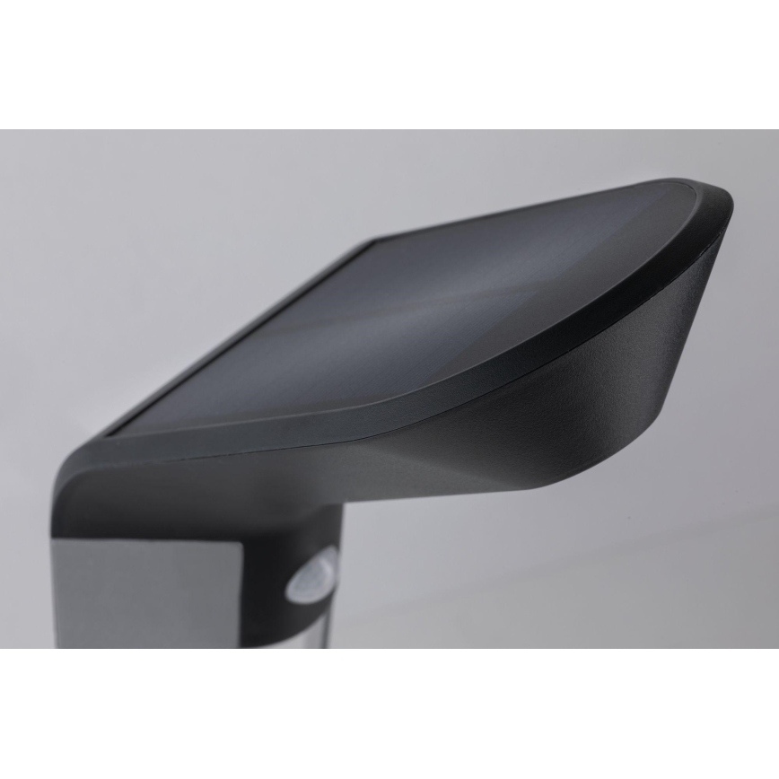 Paulmann 94252 - Lampe solaire extérieure avec détecteur SOLEY 230V LED/1,2W IP44