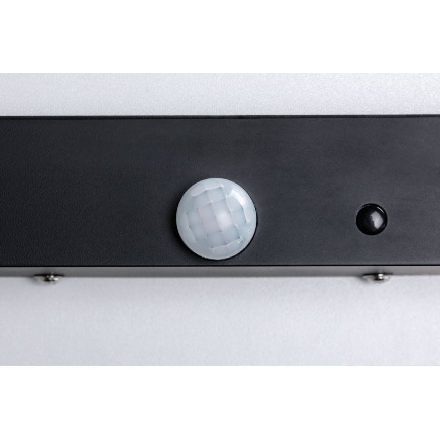 Paulmann 94257_1 - LED/19W IP44 Plafonnier extérieur avec détecteur 230V