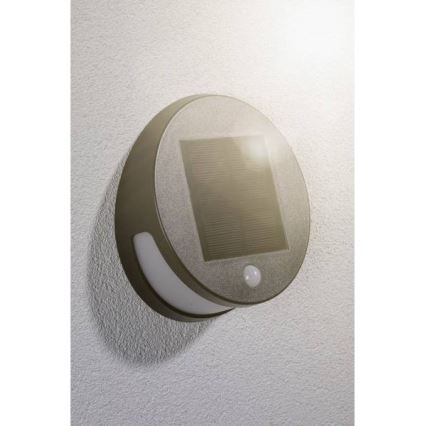 Paulmann 94265 - LED/3W IP44 Éclairage solaire extérieur avec détecteur HELENA 3,7V 1800 mAh