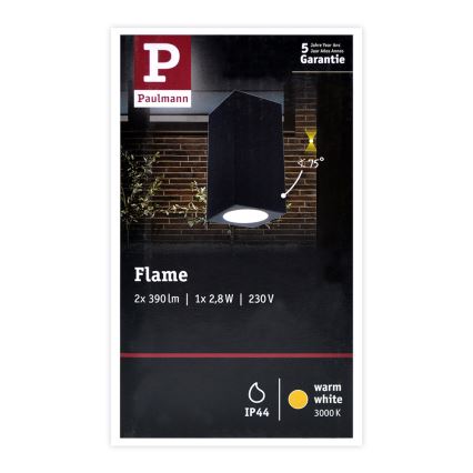 Paulmann 94328 - Applique murale extérieur 2xLED/2,8W IP44 FLAME 230V anthracite