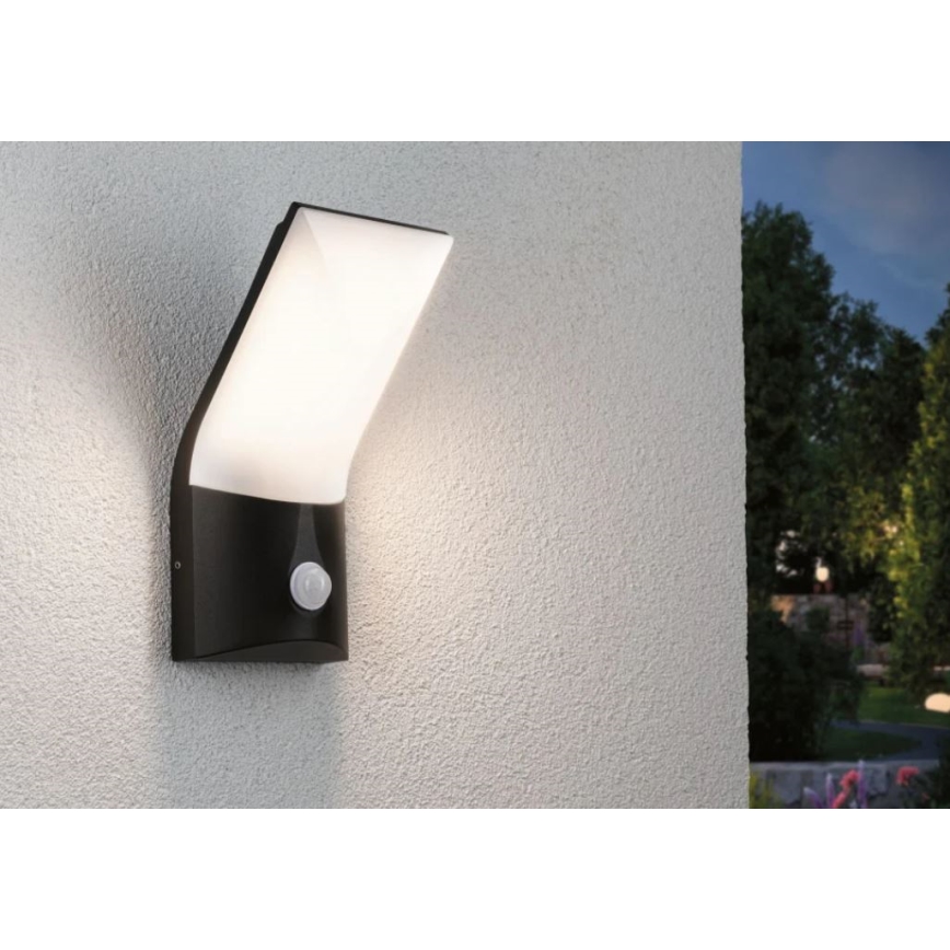 Paulmann 94402 - Applique murale extérieure avec détecteur ADYA 230V LED/10W IP44