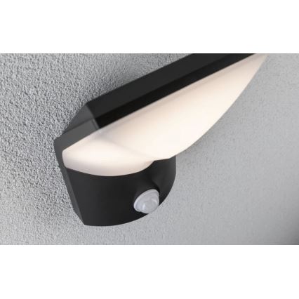 Paulmann 94402 - Applique murale extérieure avec détecteur ADYA 230V LED/10W IP44
