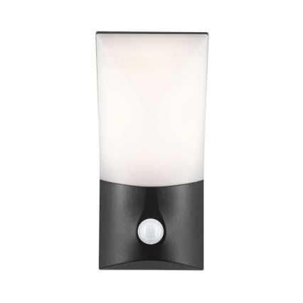 Paulmann 94402 - Applique murale extérieure avec détecteur ADYA 230V LED/10W IP44