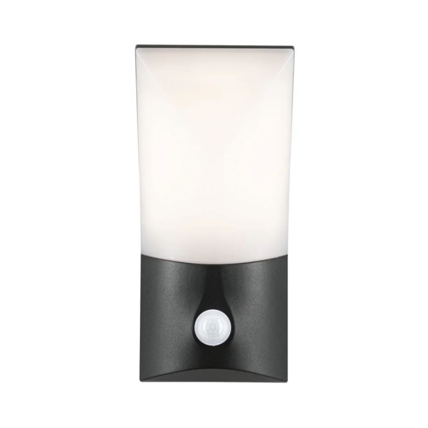 Paulmann 94402 - Applique murale extérieure avec détecteur ADYA 230V LED/10W IP44