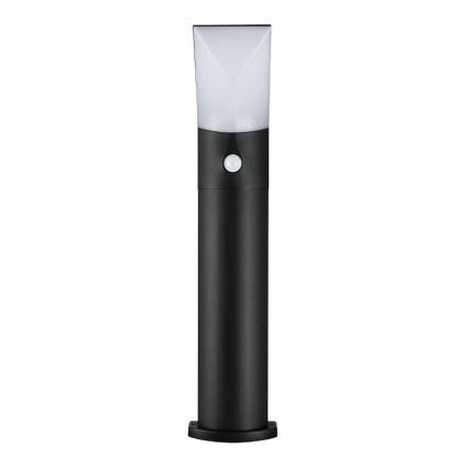 Paulmann 94403 - LED/10W IP44 Lampe d'extérieur avec détecteur ADYA 230V
