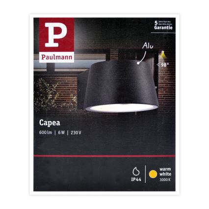 Paulmann 94452 - Applique murale extérieur LED/6W IP44 CAPEA 230V