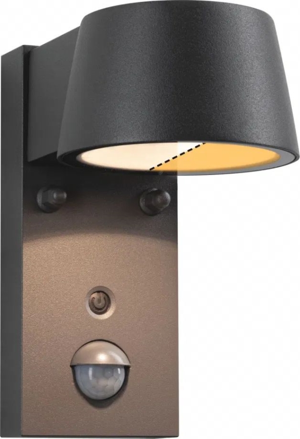 Paulmann 94714 - LED/6W IP44 Applique murale extérieure avec détecteur CAPERA 230V 2200/3000K