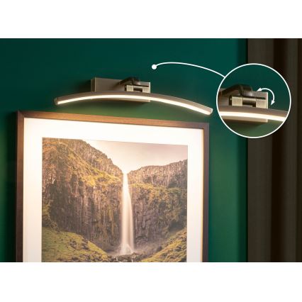 Paulmann 95560 - LED/8,5W Lampe pour tableau BENTO 230V 40 cm laiton