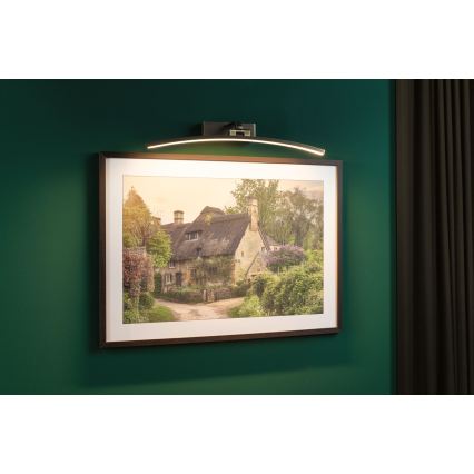 Paulmann 95561 - LED/10W Luminaire pour tableau BENTO 230V 50 cm laiton