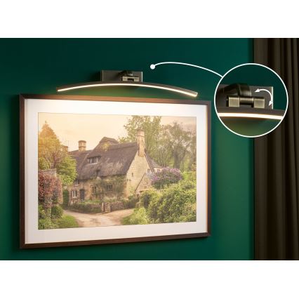 Paulmann 95561 - LED/10W Luminaire pour tableau BENTO 230V 50 cm laiton