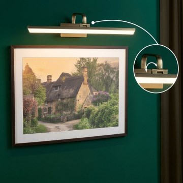 Paulmann 95570 - Lampe pour tableau RENAN LED 11 W, 230 V, 60 cm, laiton