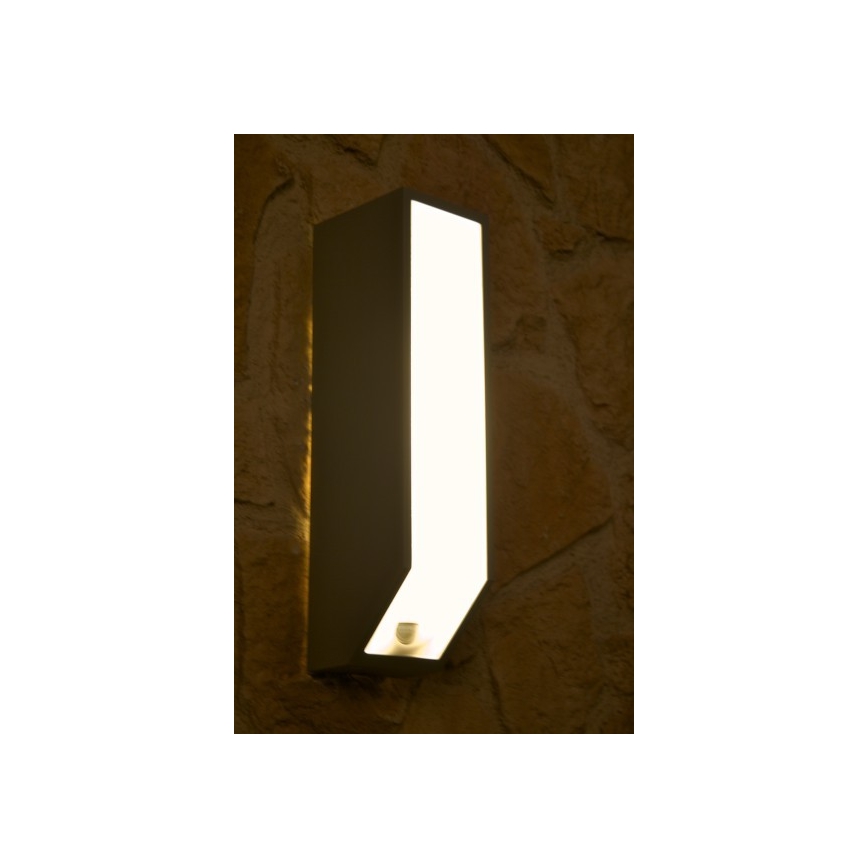 Philips 16933/87/16 - Applique murale extérieure avec capteur MYGARDEN FEATHER E27/23W