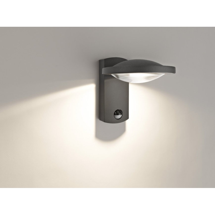 Philips 17239/93/16 - Luminaire extérieur LED avec détecteur MYGARDEN FREEDOM 1xLED/3W