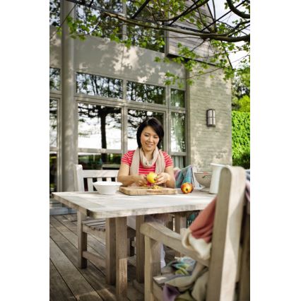 Philips 17249/06/16 - Applique murale extérieure MYGARDEN NECTAR 1xE27/20W/230V