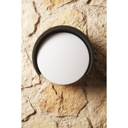 Philips - Applique murale extérieure 1xE27/20W