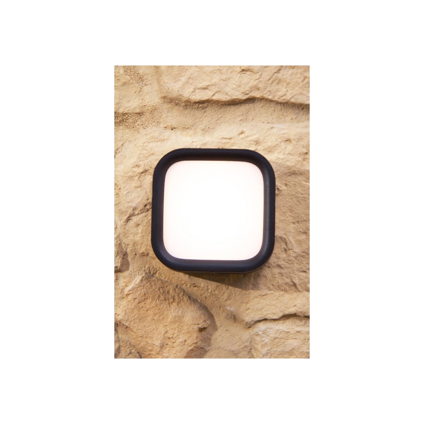 Philips 17269/30/16 - Luminaire extérieur LED MYGARDEN PUDDLE 1xLED/3W/230V IP44