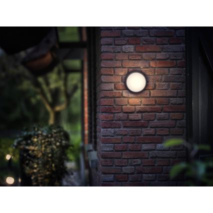 Philips - Applique murale LED extérieure 1xLED/3,5W IP44