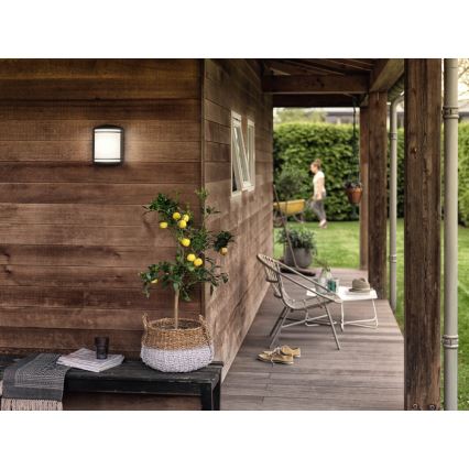 Philips - Applique murale d'extérieur LED/6W/230V IP44